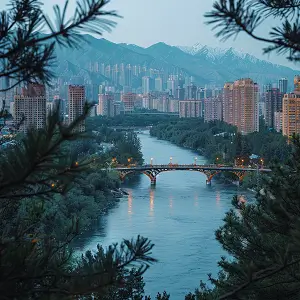 抢飞天茅台攻略京东活动