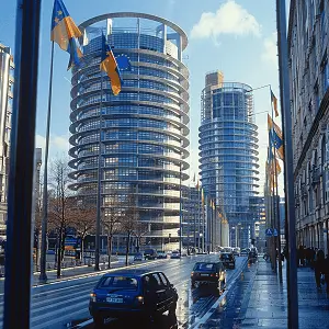 战火与秩序宠物活动攻略